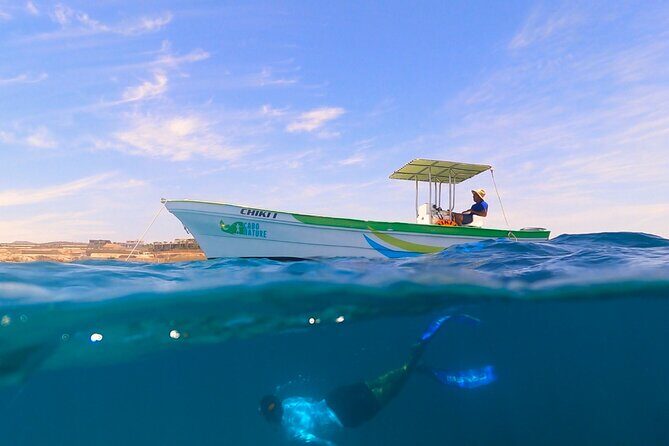 Boat ride to the Arch and Snorkel - Cost and Value: Is $82.44 a Good Deal in Cabo?