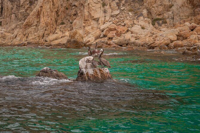 Boat Tour Snorkeling Tour with Guide, Drinks and Fruit - On-Board Comfort: Glass-Bottom Boat, Drinks, and Fruit