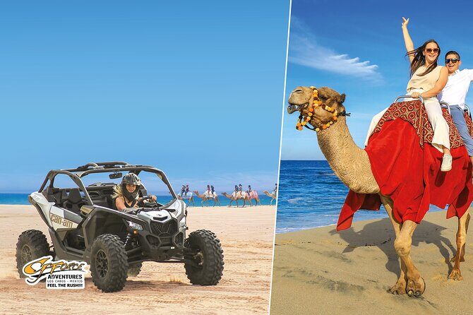 Cabo Adventure: Can-Am X3 Ride & Camel Beach Tour - Quick Take: What You’ll Actually Remember