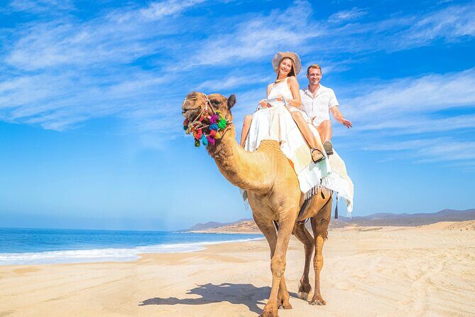 Cabo Adventure: Can-Am X3 Ride & Camel Beach Tour - Buffet, Tequila Tasting, and the Kids Club You’ll Be Glad Exists