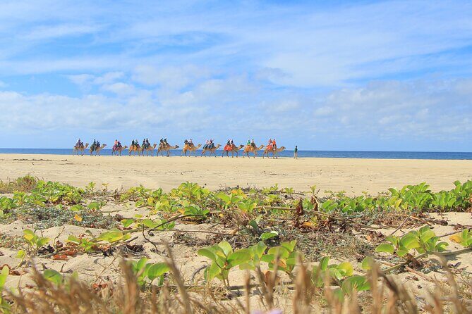 Cabo Adventure: Can-Am X3 Ride & Camel Beach Tour - Safety Rules, Sharing the Ride, and When to Skip It