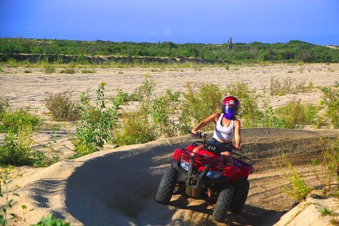 Cabo ATV and Camel Ride Combo Migriño Adventure - Camel sanctuary ride: gentle interaction with a bigger payoff than you expect