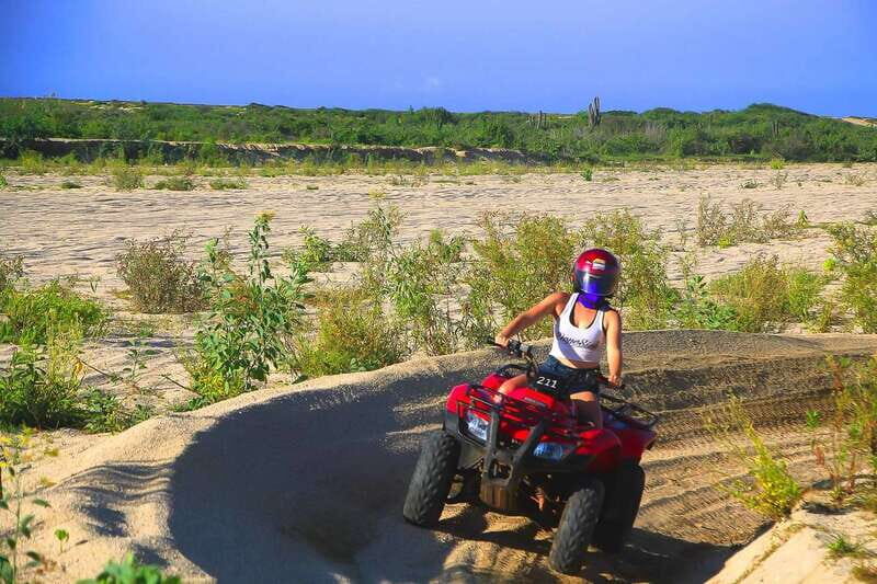 Cabo: Beach & Desert Single ATV Tour with Tequila Tasting - Tequila Tasting in Cabo: What You’ll Actually Get