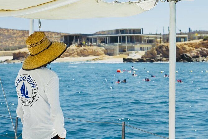 Cabo Blue Snorkeling Cruise, Open Bar and Lunch in Cabo San Lucas - Whale Watching Season: When You Have the Best Shot