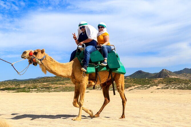 Cabo Camel Ride Experience - The two-hour experience: what happens, step by step