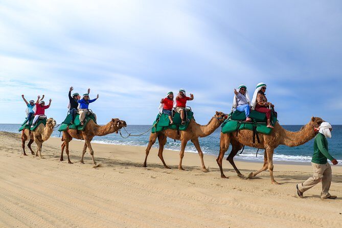 Cabo Camel Ride Experience - Food, water, and the comfort factor that matters