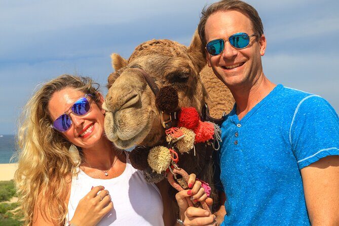 Cabo Camel Ride Experience - Price and value: $120 plus a $25 park fee