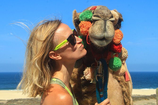 Cabo Camel Ride Experience - Getting to the beach: hotel pickup that saves time