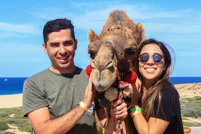 Cabo Camel Ride Experience - The camel intro and training: how they set you up