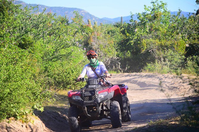 Cabo Candelaria Village Adventure + Tequila Tasting - Who This UTV Adventure Suits Best (And Who Might Want a Different Day)