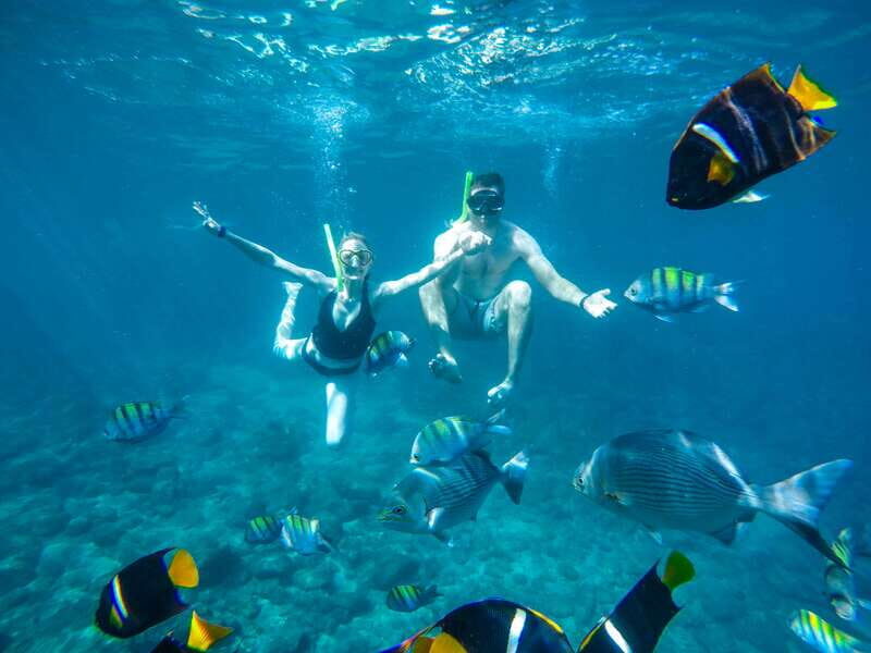 Cabo Catamaran Snorkel: Arch & Santa Maria, Open Bar, Snacks - Santa Maria Bay Snorkeling: What to Expect From Angel Fish to Clear-Water Reality