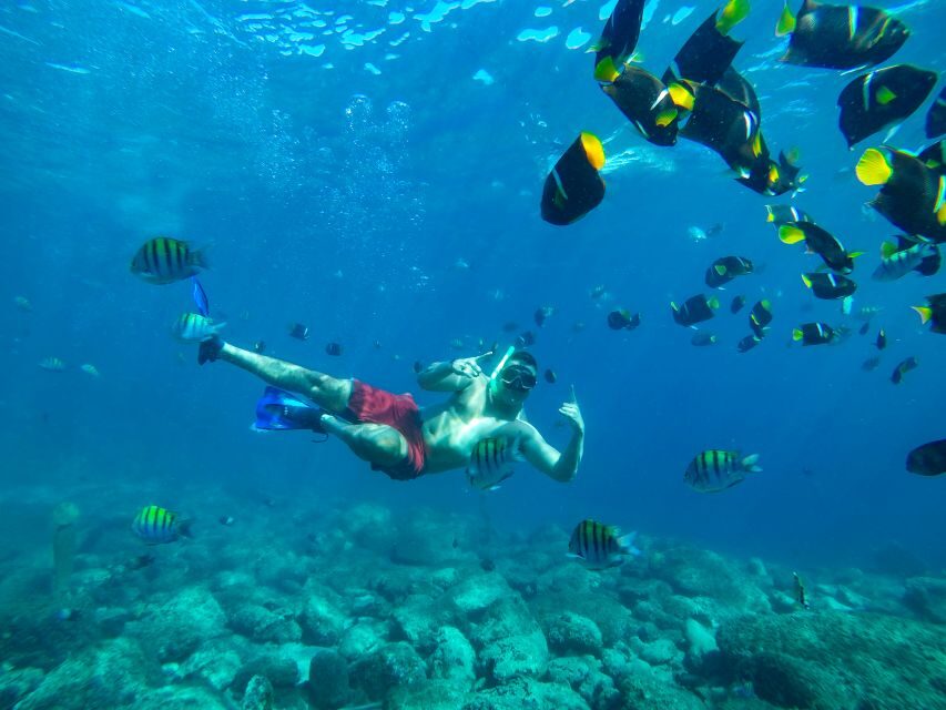 Cabo Catamaran Snorkel: Arch & Santa Maria, Open Bar, Snacks - Open Bar and Snacks: A Smooth Ride With Tequila, Music, and Stops for Food