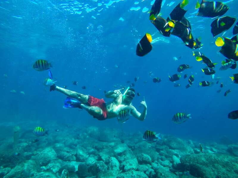 Cabo Catamaran Snorkel: Arch & Santa Maria, Open Bar, Snacks - How the 3-Hour Format Works: Easy Morning Logistics, One Main Swim