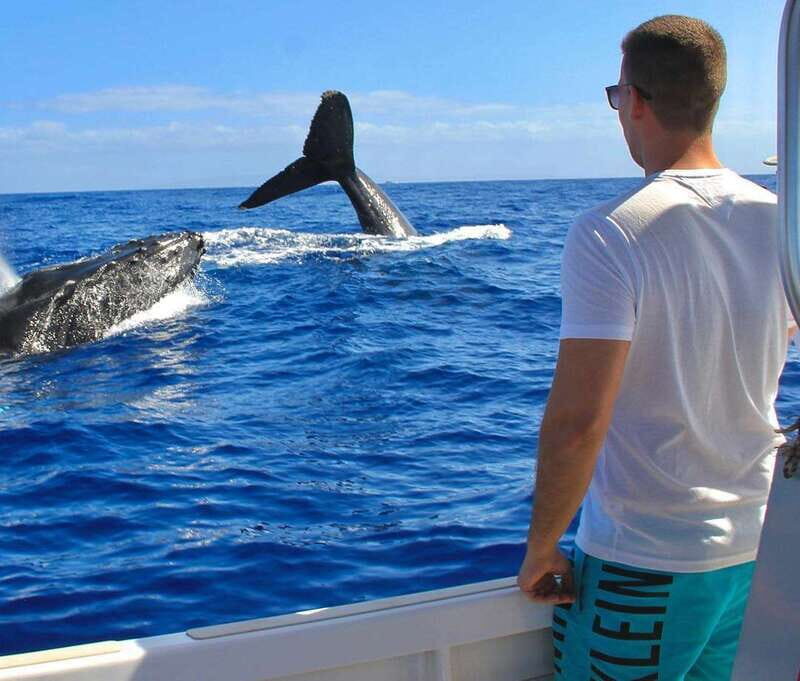 Cabo Catamaran Snorkel: Arch & Santa Maria, Open Bar, Snacks - Price and Value: Is $75 Actually a Good Deal?