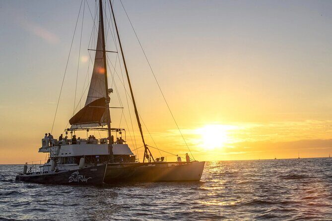 Cabo Cruise Sunset Adventure: Tacos, Margaritas & Sea Lions - Key Highlights You’ll Care About