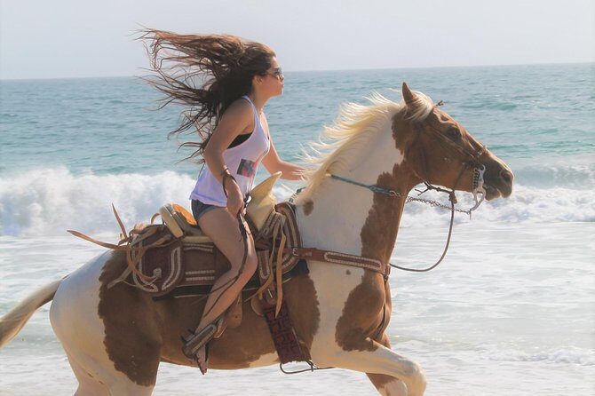 Cabo Desert ATV & Beach Horseback Combo enjoy adventure and beauty! - Price and value reality: included gear, the $20 park fee, and extra costs