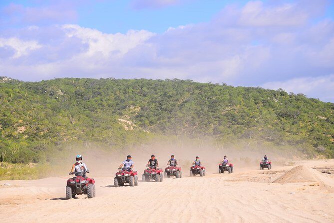 Cabo Desert Off-Road & Beach Horseback Combo and Tequila Tasting - Key highlights to know before you go