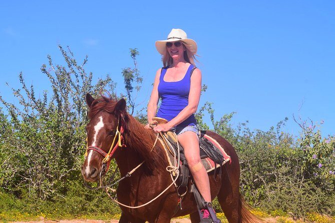 Cabo Desert Off-Road & Beach Horseback Combo and Tequila Tasting - White-sand horseback: trained horses, shoreline scenery, and seasonal wildlife