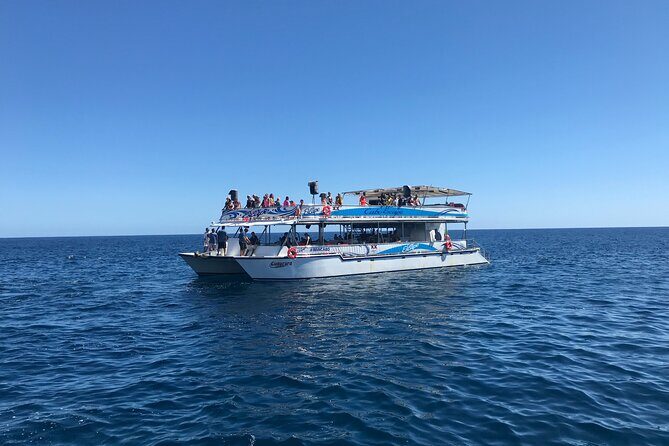 Cabo Escape Snorkel Fun Cruise - Who this cruise is best for (and who should skip)