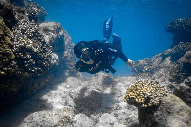 Cabo: Half-Day Kayak & Snorkel to Santa Maria & Chileno Bay - Gear, Comfort, and Safety: What’s Included and What Matters