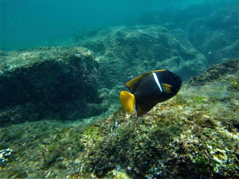 Cabo: Hidden Beach Day with Snorkeling in the Sea of Cortez - What’s Included (and What You’ll Need to Bring)