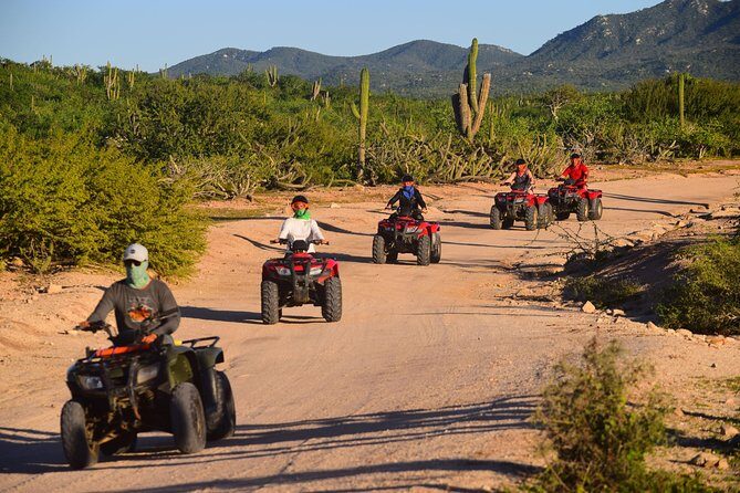 Cabo Migrino Beach and Desert ATV Tour plus Tequila Tasting - Stop 2: tight beach corners, desert plants, and the 200-year cactus moment