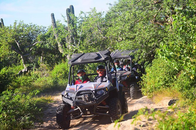 Cabo Migrino Beach & Desert Tour (Triple UTV) - What the 2.5 Hours Feel Like on the Machine