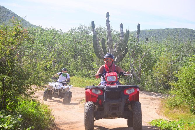 Cabo Original Real Baja 1000 Tour (Single ATV) - Key highlights to know before you go