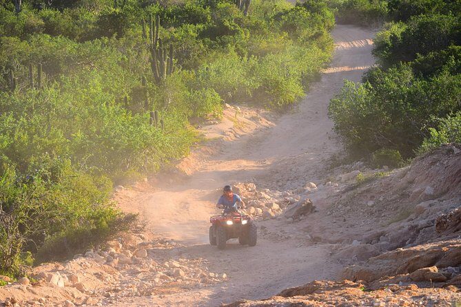 Cabo Original Real Baja 1000 Tour (Single ATV) - What a 5-hour ATV day feels like on a Single ATV