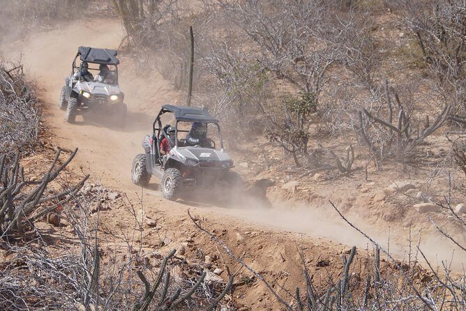 Cabo Original Real Baja 1000 Tour (Triple UTV) - Who this tour fits best (and who should consider a different style)