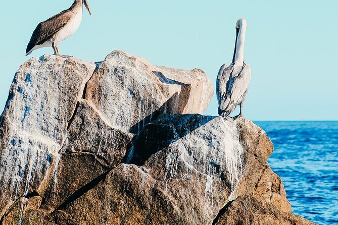 Cabo Private Catamaran: Chill Experience with Sup and Float Mat - Arch and Anchoring: A Day That Works for Mixed Ages