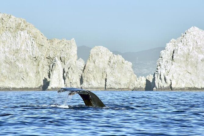 Cabo Private Transportation to Cabo - The ride experience: cold drinks, clean cars, and a driver you can trust