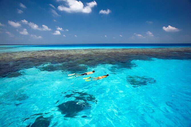 Cabo Private Yacht Cruise to El Arco with Snorkeling Adventure - Sea Lions, Quiet Time, and the Photo Help You’ll Notice