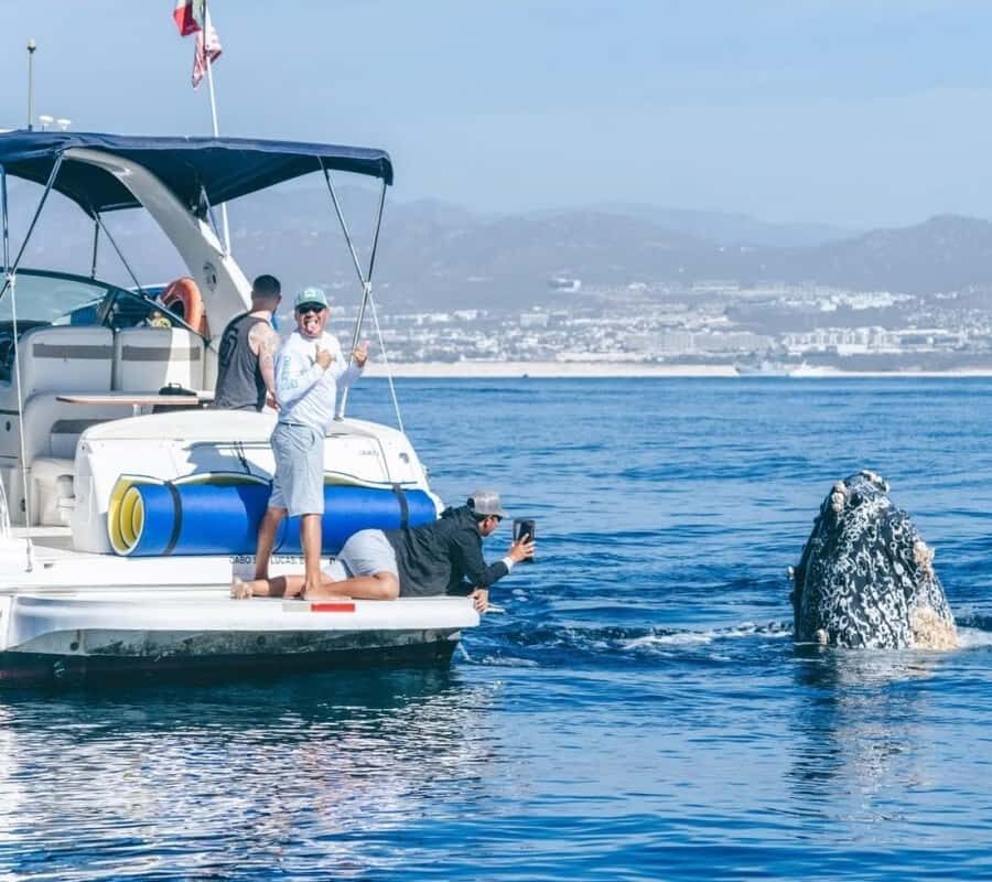 Cabo: Private Yacht Tour, Water Activities, Lunch & Drinks - Should You Book This Cabo Private Yacht Tour?