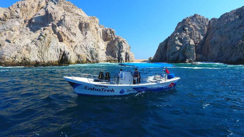 Cabo San Lucas: 2.5-Hour Whale Watching Tour - What to expect on the water during a 2.5-hour outing