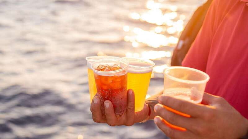 Cabo San Lucas: 2 Hour Sunset Cruise with Food and Wine - Key Highlights You’ll Feel Immediately