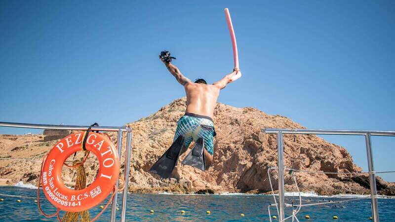 Cabo San Lucas: 4-Hour Snorkeling Cruise with Open Bar - Price and what you actually get for $128
