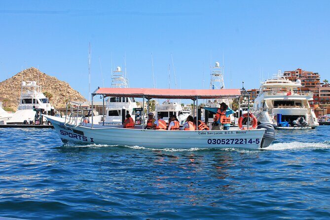 Cabo San Lucas Arc Group Tour in Glass Bottom Boat - Glass-bottom expectations: what you’ll (and won’t) see