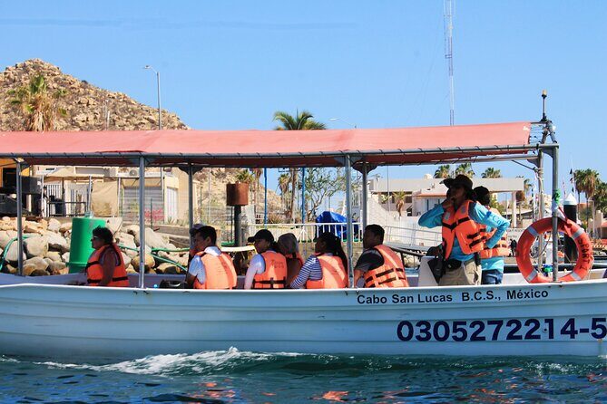 Cabo San Lucas Arc Group Tour in Glass Bottom Boat - The guides and captains: why the human touch matters