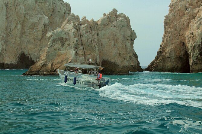 Cabo San Lucas Arc Transparent Boat Tour - Stop-by-stop: what you will see and what to watch for