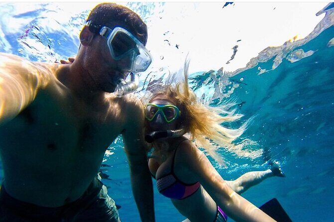 Cabo San Lucas Arch Boat Tour and Snorkeling at Pelican Rock - Cruising for Sea Lion Scenery and the Arch at Land’s End