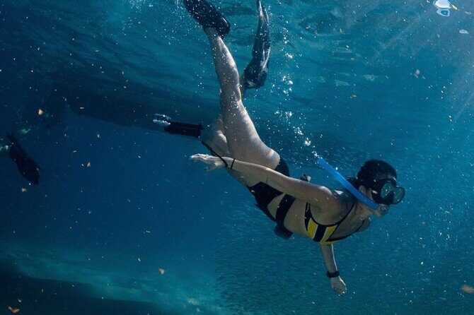 Cabo San Lucas Arch Boat Tour and Snorkeling at Pelican Rock - Lovers Beach (Playa de los Amantes): Short Time, Big Water Views