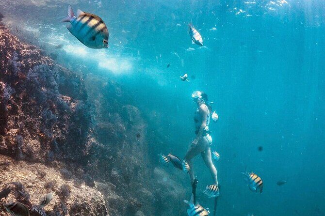 Cabo San Lucas Arch Boat Tour and Snorkeling at Pelican Rock - What’s Included (and Why That Lowers Your Total Cost)