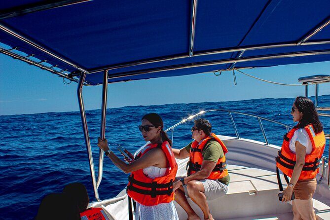 Cabo San Lucas Arch Private Boat Tour - Key Highlights You’ll Actually Care About