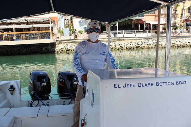 Cabo San Lucas Arch Private Boat Tour - Stop 3: Pelican Rock and the Glass-Bottom Marine Moment