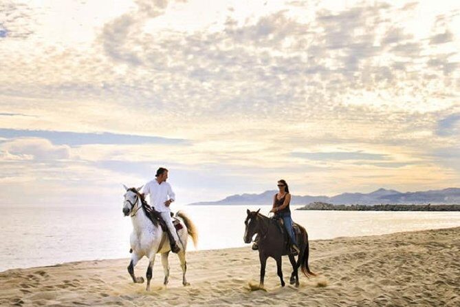 Cabo San Lucas Beach and Desert Horseback Ride - From G-Force Adventures to Playa Migrino: Getting Started in Cabo