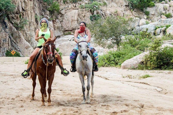 Cabo San Lucas Beach and Desert Horseback Ride - The Migrino Desert Section: Dried Riverbeds and Baja Trails