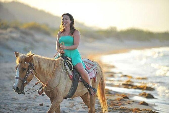 Cabo San Lucas Beach and Desert Horseback Ride - Wildlife Spotting Chances: What to Expect (and What Not to Bank On)