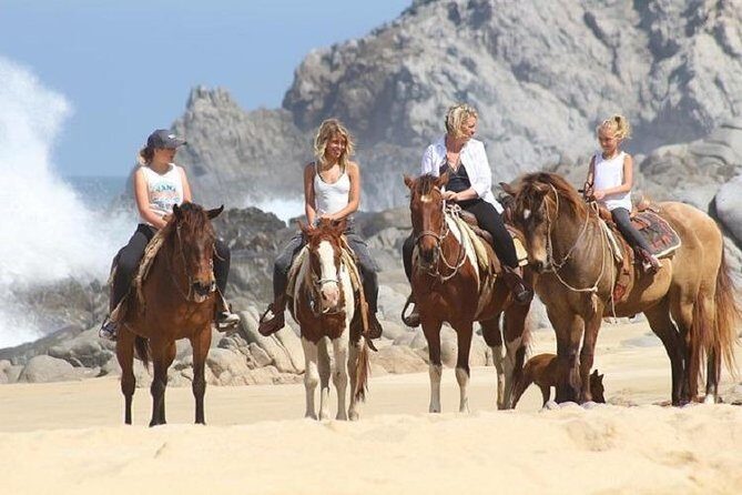 Cabo San Lucas Beach and Desert Horseback Ride - Horses and Guides: Riding Style, Safety, and Real-World Pacing