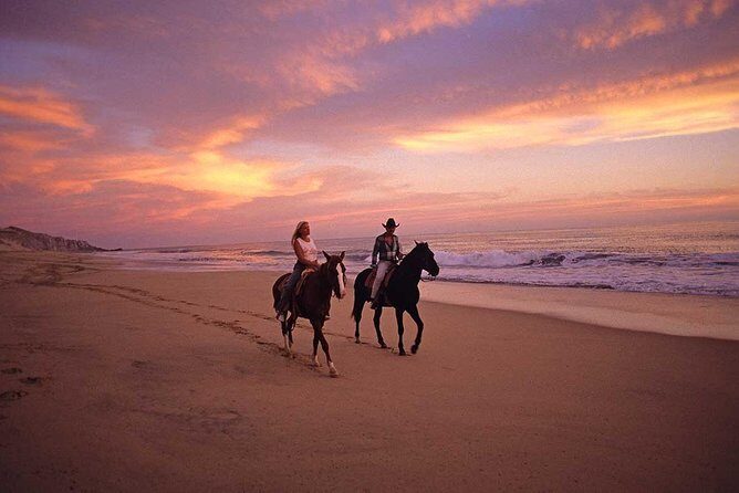 Cabo San Lucas Beach and Desert Horseback Ride - Price and Value: How the $67.50 Really Adds Up